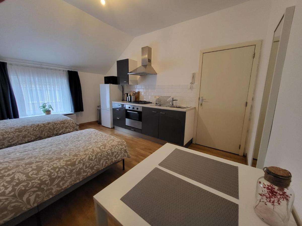 Studios Idealement Situes - Eu Etterbeek Exterior foto